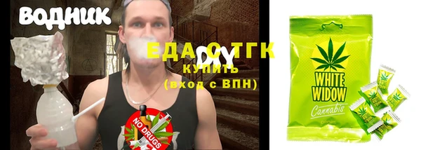 индика Нягань