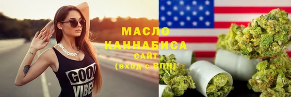 индика Нягань