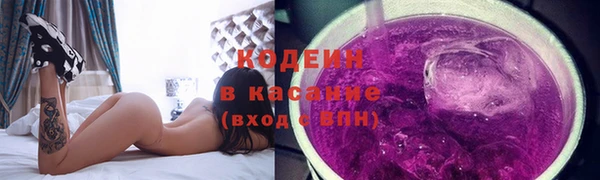 индика Нягань