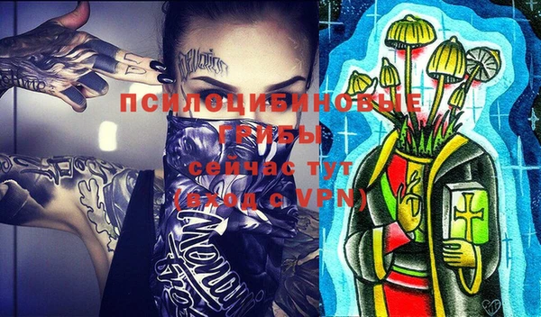 индика Нягань