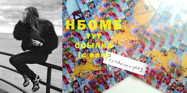 индика Нягань