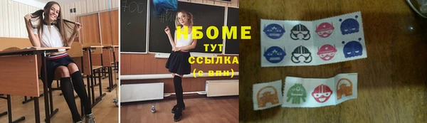 индика Нягань