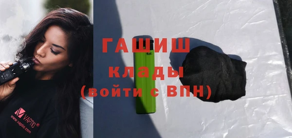 индика Нягань