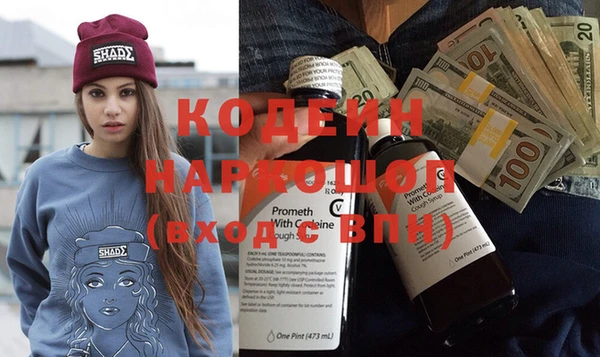 индика Нягань