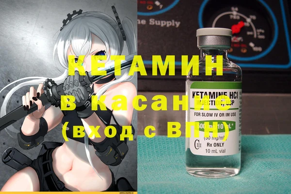 индика Нягань
