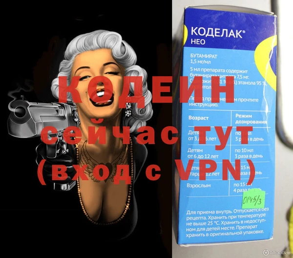 индика Нягань