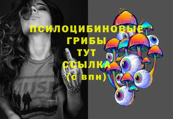 индика Нягань