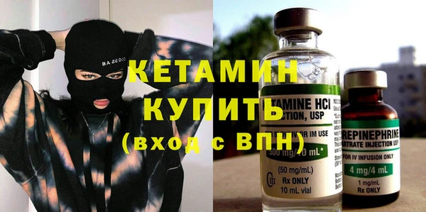 индика Нягань
