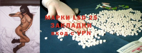 индика Нягань