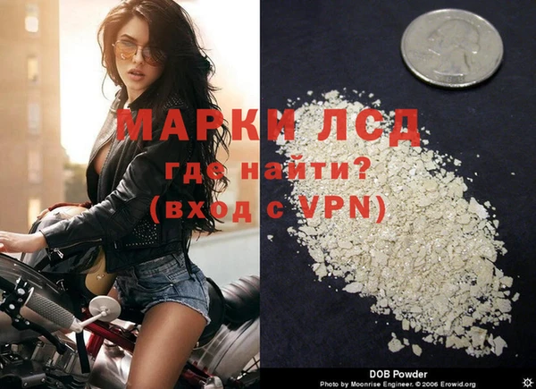 индика Нягань
