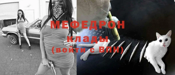индика Нягань