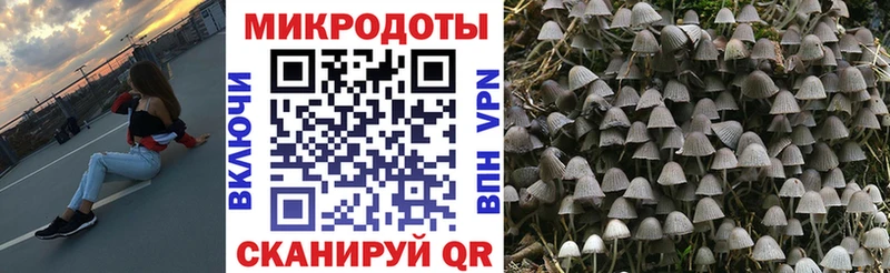 Псилоцибиновые грибы мухоморы продажа наркотиков Александровск-Сахалинский